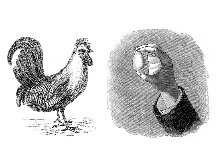 The chicken or the egg?