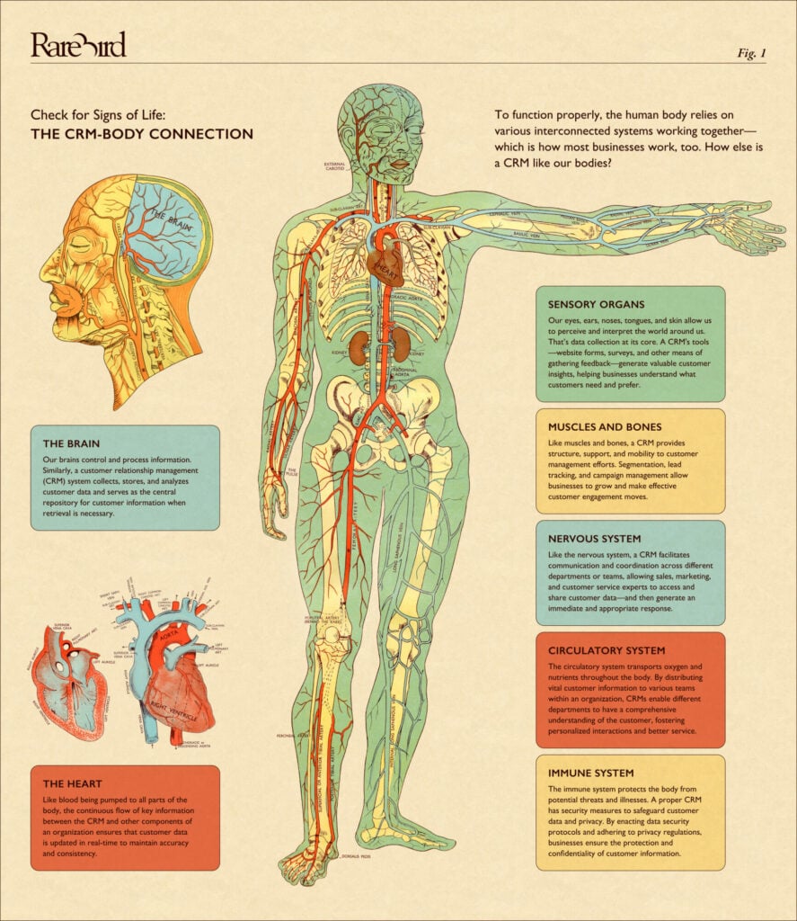 Check for Signs of Life: The CRM-Body Connection